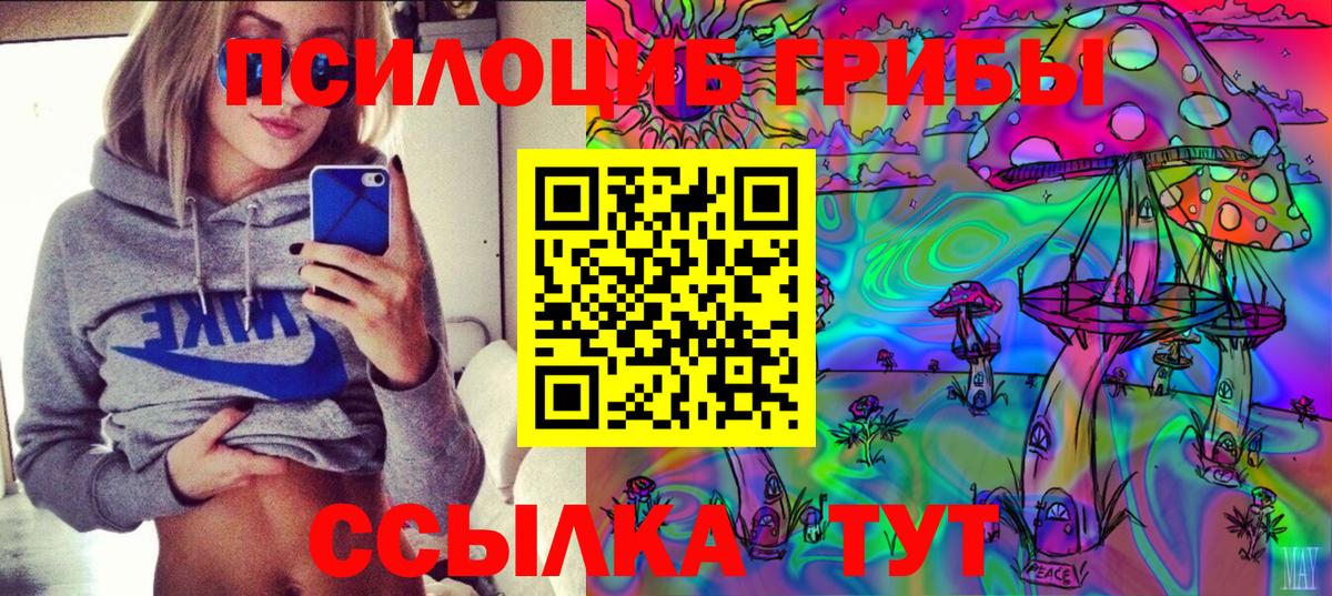 Галлюциногенные грибы мицелий Зеленогорск