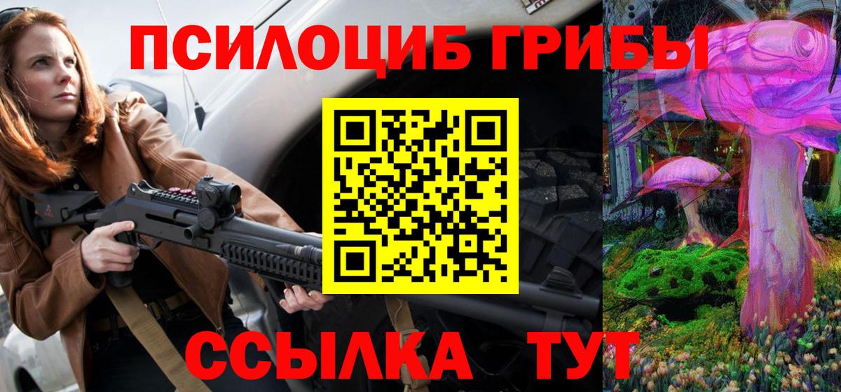 Зеленогорск  Псилоцибиновые грибы мицелий  Вход с VPN 